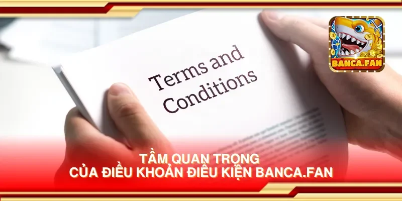 Tầm quan trọng của điều khoản điều kiện cazinodengi.ru.com